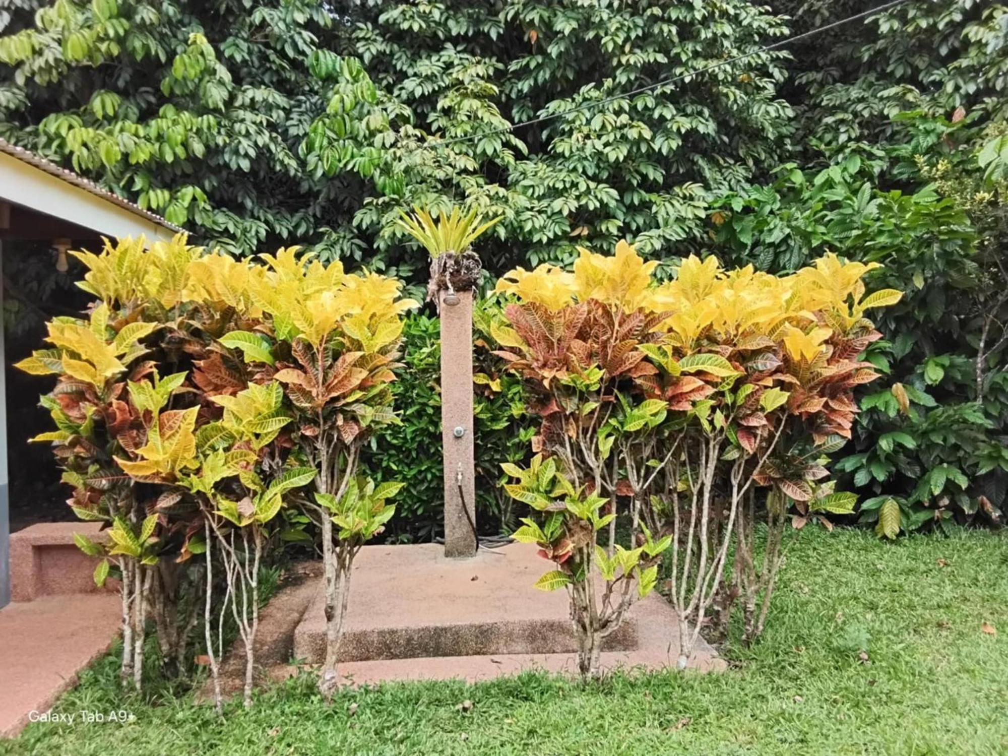 Camiguin Lanzones Resort Mambajao Buitenkant foto