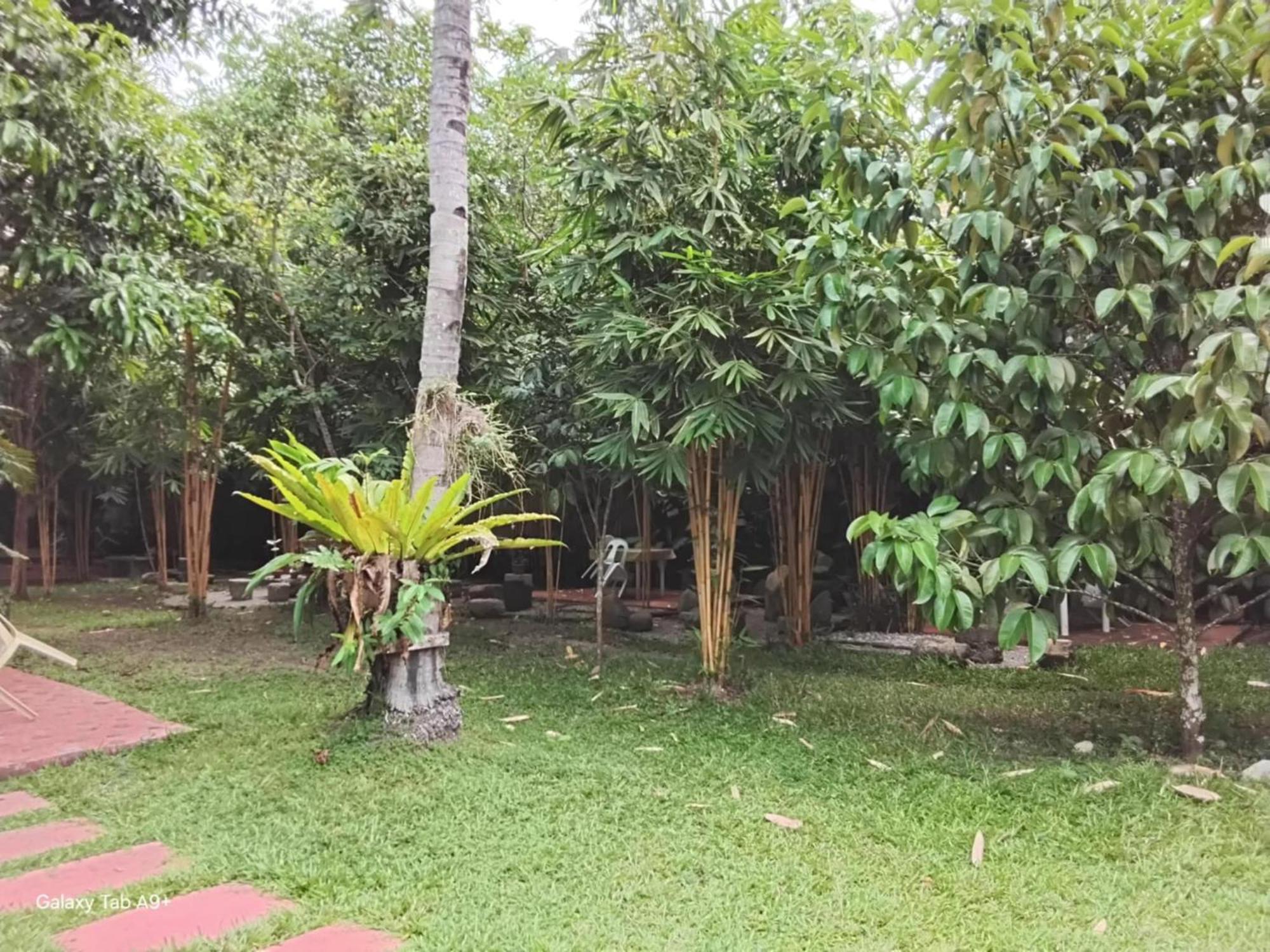 Camiguin Lanzones Resort Mambajao Buitenkant foto