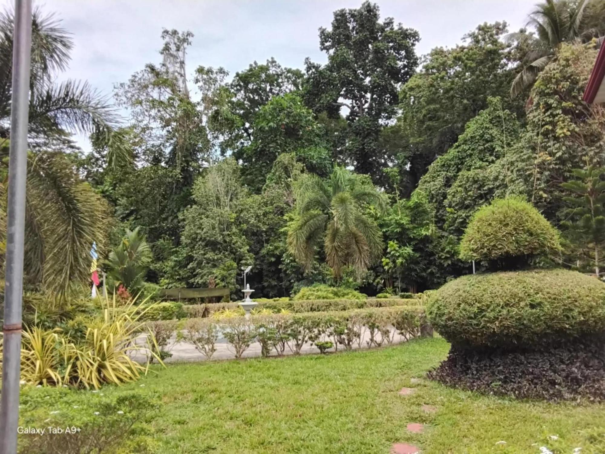 Camiguin Lanzones Resort Mambajao Buitenkant foto